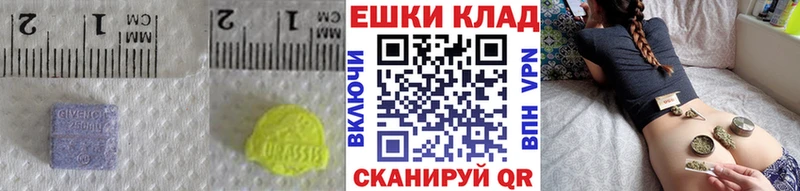 ЭКСТАЗИ Philipp Plein  блэк спрут вход  Липецк 