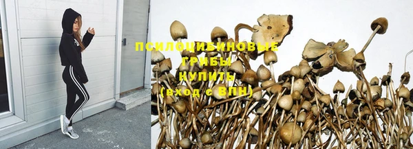 ГАЛЛЮЦИНОГЕННЫЕ ГРИБЫ Абинск