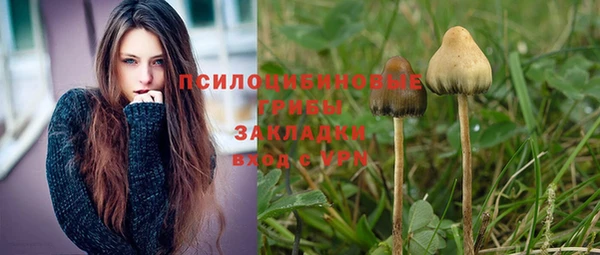 ГАЛЛЮЦИНОГЕННЫЕ ГРИБЫ Абинск