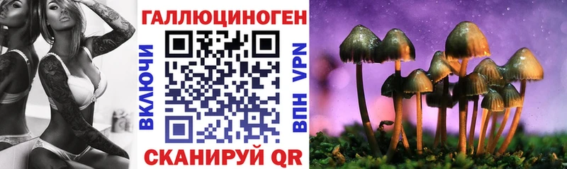 даркнет сайт  Липецк  Галлюциногенные грибы Cubensis 