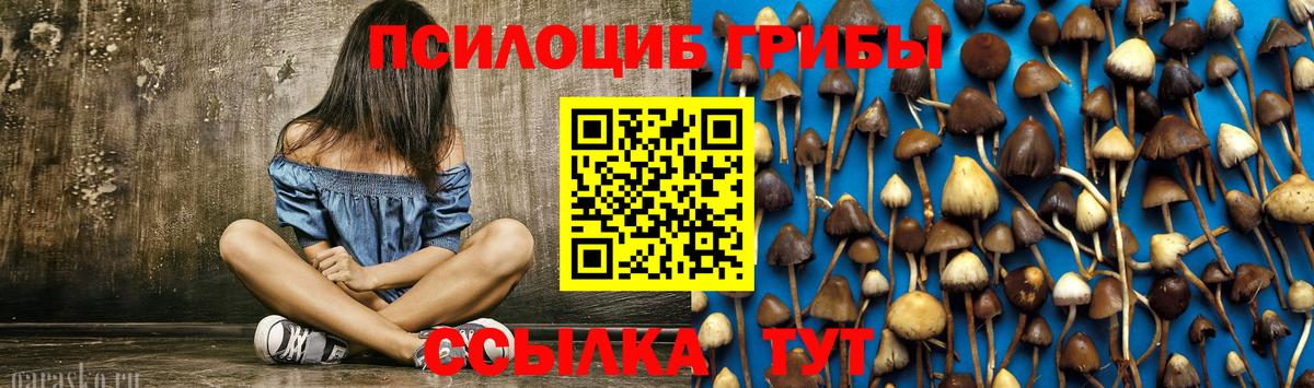 Галлюциногенные грибы MAGIC MUSHROOMS Липецк