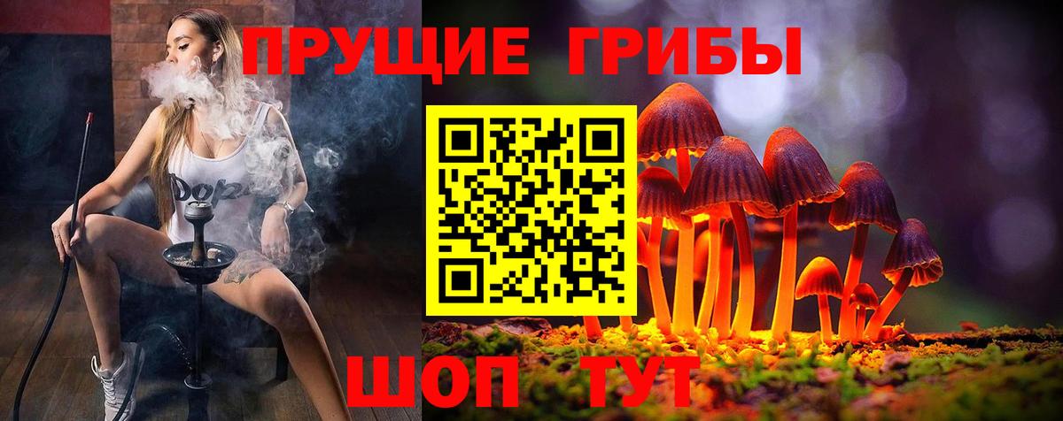 Бошки Шишки Липецк